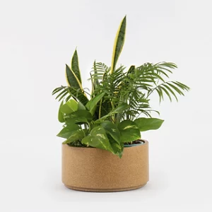 Vase jumbo à plantes - Dcork
