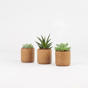 3 vases XS - Dcork